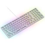 Glorious Gaming GMMK 2 Barebones Keyboard Frame(White)