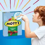 Mott's 19.2oz/22ct - Assorted Fruit Flavored Snacks Value Pack