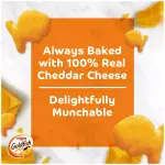 Goldfish12 Lunch Packs Pepperidge Farm Goldfish Cheddar