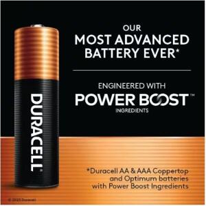 Duracell Coppertop Alkaline AAA Battery (10-Pack), Triple A Batteries