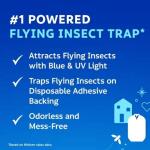 Zevo Indoor Flying Insect Trapnfor Fruit Flies ,Gnats and House Flies (1plug-In Base + Refill Cartridge)