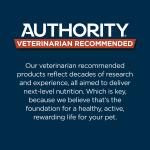 Authority® Everyday Health Senior 7+ Dry Dog Food - Chicken & Rice 34lb