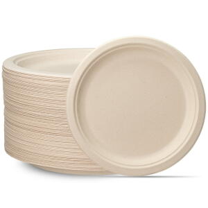 Eco Biodegradeable 10 inches Plates, 125 ct.