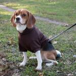 Pet Life Fashion Small Pet Hoodie Sweater, Brown Plush Cotton 