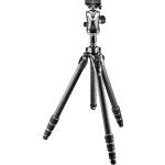 Gitzo GK2542-82QD Mountaineer Series 2 Carbon Fiber Tripod with Center Ball Head