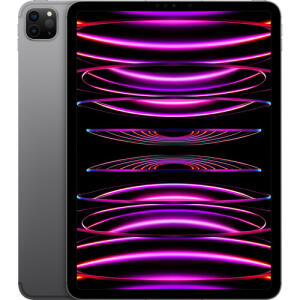 Apple 11" iPad Pro M2 Chip Late 2022, 2TB, Wi-Fi + 5G LTE, (Space Gray)