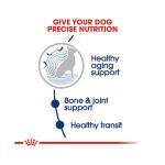 Royal Canin Size Health Nutrition Large Breed Aging 8+ Senior Dog Dry Food - 30 lb