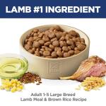 Hill's® Science Diet® Large Breed Adult Dry Dog Food - Lamb & Brown Rice 33lb