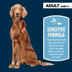 Authority® Sensitive Stomach & Skin Adult Dog Dry Food - Lamb & Rice 34lb