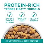 Purina ONE® +Plus Adult Dog Dry Food - Chicken, Natural, High-Protein 31.1lb