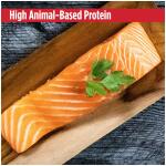 Nulo MedalSeries All Life Stages Dry Dog Food - Salmon