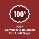 Purina Dog Chow Complete Adult Dry Dog Food - Beef 40lb