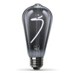 Feit Electric 25-Watt Equivalent ST19 Dimmable Spiral Filament Smoke Glass E26 Vintage Edison LED Light Bulb, Daylight