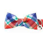 Youly Red Plaid Bow Tie Cat Breakaway Collar