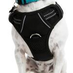 EveryYay Embrace the Pace Black Front Walking Dog Harness, Large 