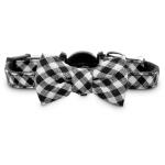 Youly Black Gingham Bow Tie Kitten Black Cat Breakaway Collar, Small