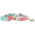 Youly 2 Pack Turquoise and Coral Collar Multiple Colors Dog Collar, Small