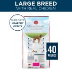 Purina ONE® +Plus Large Breed Adult Dog Dry Food - Chicken, Natural, Antioxidants 40lb