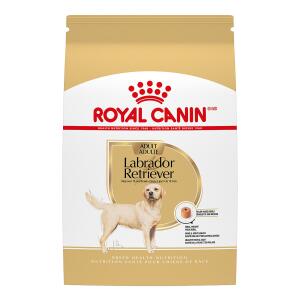 Royal Canin® Breed Health Nutrition® Labrador Retriever Breed Specific Adult Dog Dry Food - 30 lb