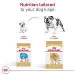 Royal Canin® Breed Health Nutrition® Bulldog Breed Specific Adult Dog Dry Food 30lb