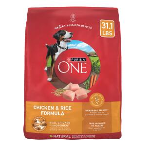 Purina ONE® SmartBlend Everyday Nutrition Adult Dog Dry Food - Chicken, High-Protein 31.1lb