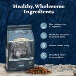 Blue Buffalo Wilderness Nature's Evolutionary Diet Adult Dry Dog Food - Chicken 28lb