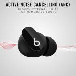 Beats Studio Buds True Wireless Noise Cancelling Earbuds - Black (Used Like New)