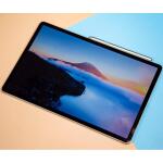 Dogxiong Samsung Galaxy Tab S7 FE S Pen (Mystic Silver)