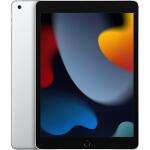 Apple iPad 2021 10.2-inch? 256GB Silver Wi-Fi Only (Renewed)