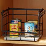 allen roth 1 Tier Freestanding Black Can Rack