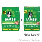 IAMS™ Proactive Health Adult Dry Dog Food - High-Protein, Mini Chunks, Chicken & Whole Grains 44lb