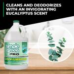 Simple Green Pro 1 Gallon Liquid Odor Neutralizer