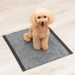 Glad 100 Large 23 Inch Pet All in One Training Pads