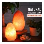 Himalayan Glow 8.32 in. Pink Ionic Hand Carved Natural Crystal Salt Lamp