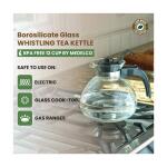 Stovetop Whistling Kettle Glass