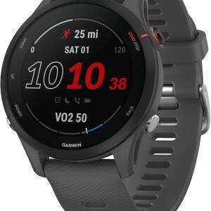 Garmin Forerunner 255 46mm - Slate Gray