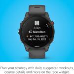 Garmin Forerunner® 255 46mm - Slate Gray