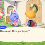 Nintendo Switch - Animal Crossing: New Horizons