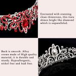 Didder Red Rhinestones Tiara: Elegant silver crown with combs for women and girls, perfect for weddings, proms, birthdays, and Halloween.