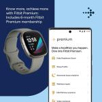 Fitbit Sense Advanced Smartwatch (S & L Bands Included) - Sage Grey/Silver