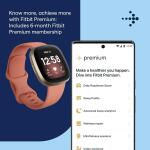 Fitbit Versa 3 Health & Fitness Smartwatch (S & L Bands Included) - Pink/Gold