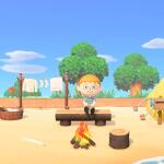 Nintendo Switch - Animal Crossing: New Horizons