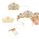 Didder Gold AB Black Rhinestone Princess Tiaras and Crowns for Women and Girls, Gothic Queen Tiara Crown, Halloween Costume Party, Wedding, Prom, Medieval Headpiece.