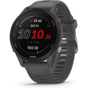 Garmin Forerunner® 255 46mm - Slate Gray