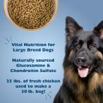 Bil-Jac® Large Breed Adult Dry Dog Food - Chicken