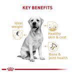 Royal Canin® Breed Health Nutrition® Labrador Retriever Breed Specific Adult Dog Dry Food - 30 lb