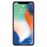 Apple iPhone X Unlocked GSM Phone w/ Dual 12MP Camera, Silver, B Grade, Used, 256GB