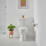 American Standard Champion Two-Piece Elongated Chair Height Toilet with Single Flush (1.28 GPF) and Slow-Close Seat in White.