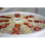 Nesco 4-Tray White Dehydrator (1000-Watt) for Food