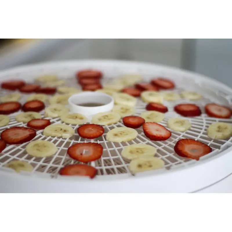 Nesco 4-Tray White Dehydrator (1000-Watt) for Food